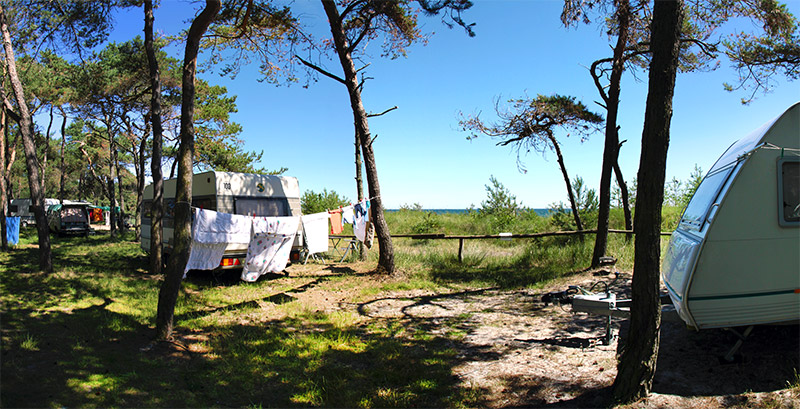 Drewoldke - 