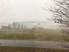 Forgensee - "Der Womo Stellplatz"