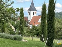 Weingut Maier - "Der Womo Stellplatz"