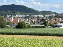 Weingut Maier - "Der Womo Stellplatz"